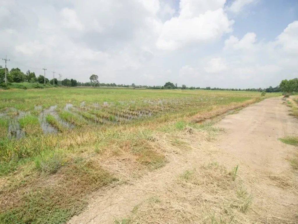 ขาย ที่ดิน ติดถนน เนินพระปรางค์ บางเลน สองพี่น้อง สุพรรณบุรี