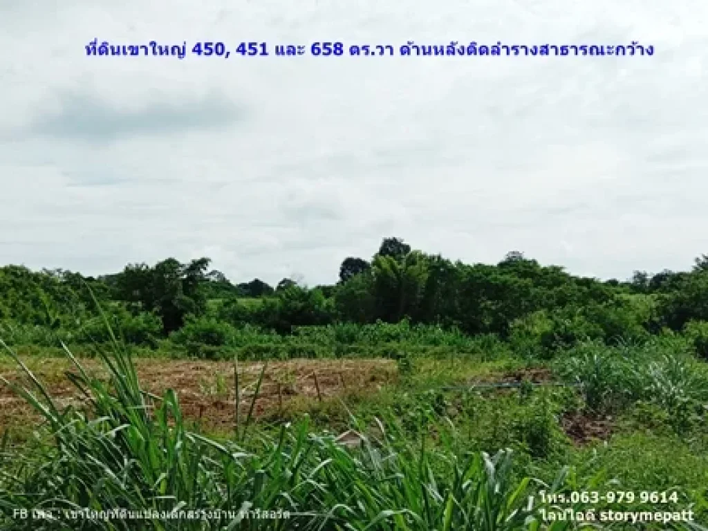 ที่ดินเขาใหญ่ หลังติดน้ำกว้าง 450 ตรวา 3 แปลงติดกัน เข้าซอย 200 ม ใกล้อาร์ตมิวเซียม ใกล้ถธนะรัชต์ 3กม