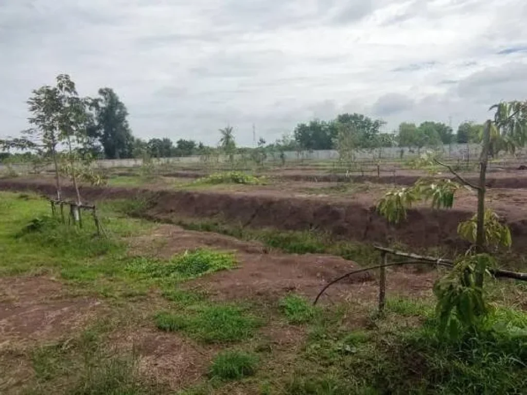 ขายที่ดิน 22 ไร่ พร้อมโรงงานขนาด 2000 ตรม ปทุมธานี