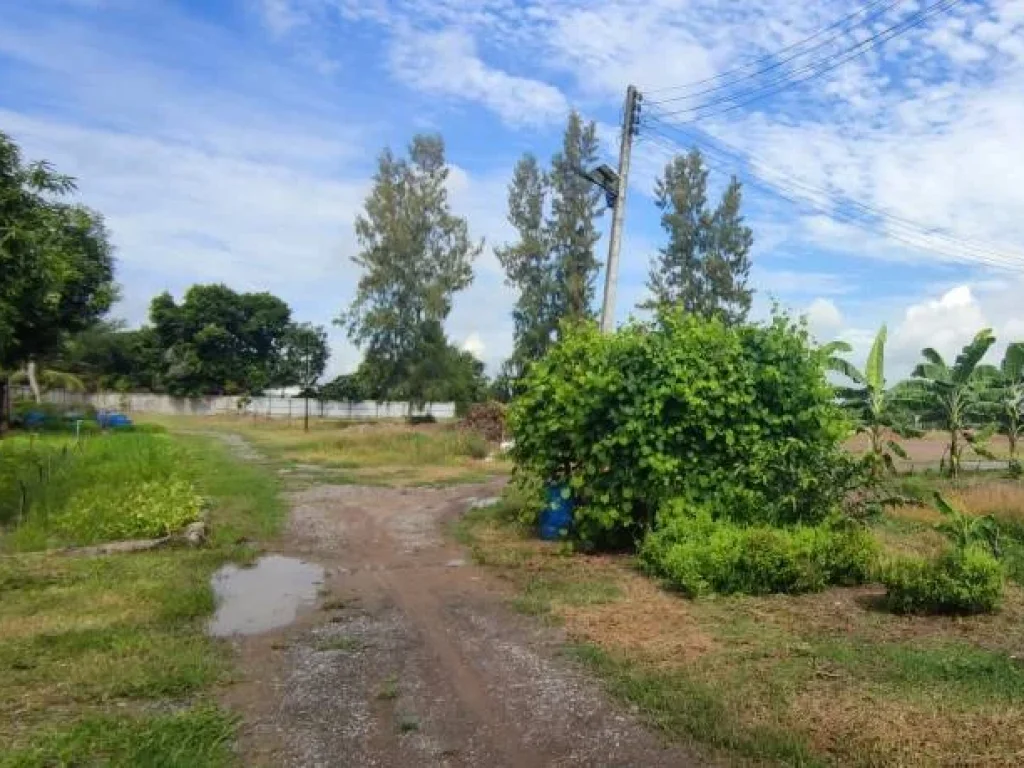 ขายที่ดิน 22 ไร่ พร้อมโรงงานขนาด 2000 ตรม ปทุมธานี