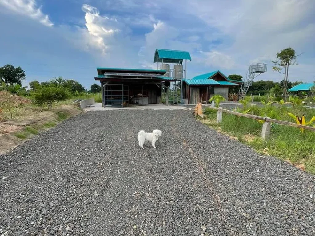 ขายที่ดินโฉนด3ไร่อำเภอเมืองบุรีรัมย์ เป็นบ้านสวนโคกหนองนา พร้อมสิ่งปลูกสร้างบ้าน โรงรถ ครัว ห้องเก็บของ