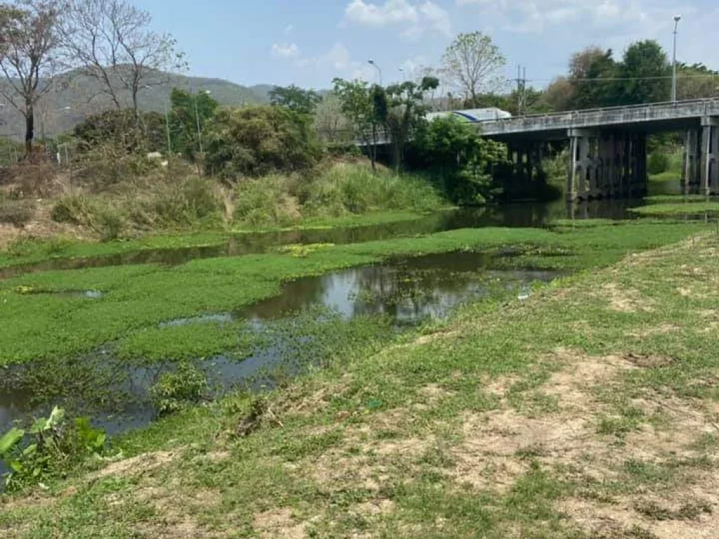 ขายที่ดินติดลำน้ำแม่ทา ติดถนนซุปเปอร์แม่ทาลำพูน พร้อมโอนราคาถูก