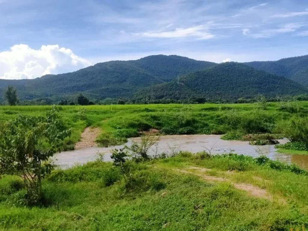 ขายที่ดินบ้านแม่ทาปลาดุกลำพูนติดถนนติดลำธารน้ำไหลผ่าน