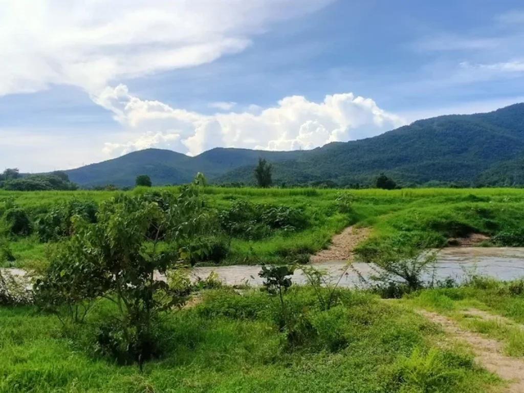 ขายที่ดินบ้านแม่ทาปลาดุกลำพูนติดถนนติดลำธารน้ำไหลผ่าน