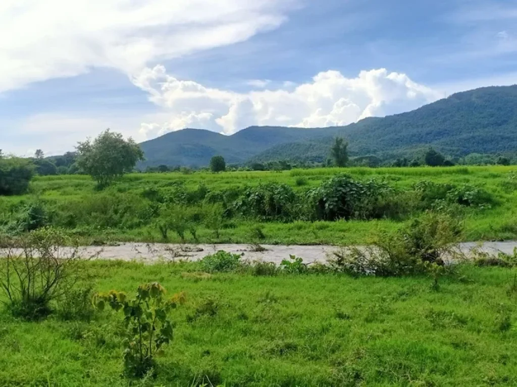 ขายที่ดินบ้านแม่ทาปลาดุกลำพูนติดถนนติดลำธารน้ำไหลผ่าน