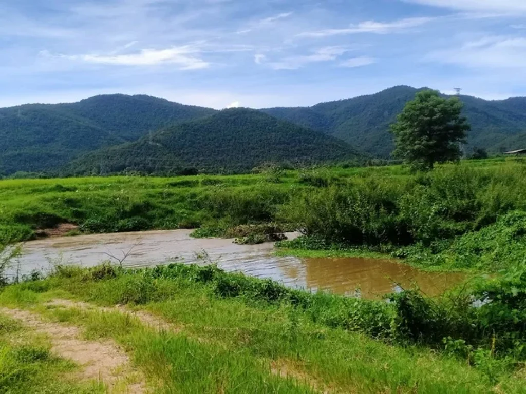 ขายที่ดินบ้านแม่ทาปลาดุกลำพูนติดถนนติดลำธารน้ำไหลผ่าน