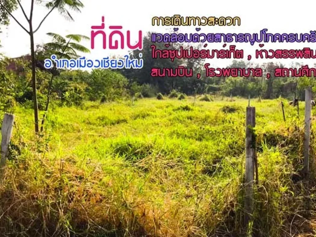 ขายที่ดิน ท่าข้าม แม่เหียะ ใกล้กุลพันธวิลล์ วงแหวนรอบ 2 เชียงใหม่