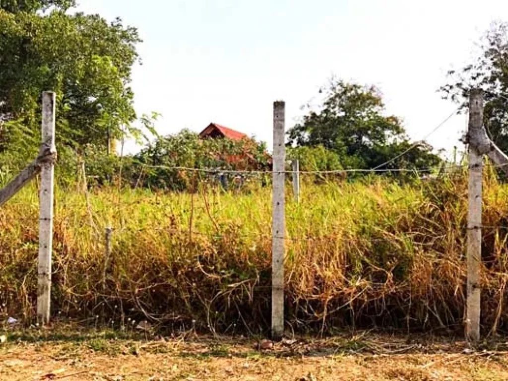 ขายที่ดิน ท่าข้าม แม่เหียะ ใกล้กุลพันธวิลล์ วงแหวนรอบ 2 เชียงใหม่