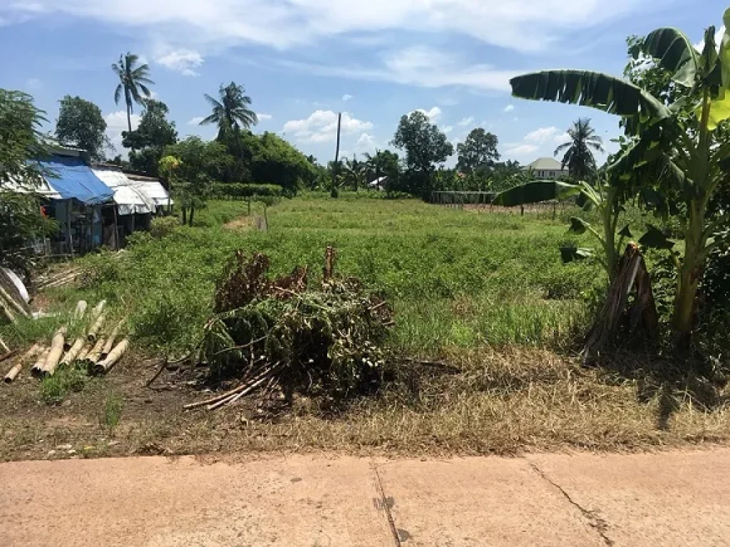 ขายที่ดิน เหมาะสำหรับทำสวนปลูกผัก สร้างบ้าน เทศบาลตำบลคำขวาง อวารินฯ จอุบลฯ