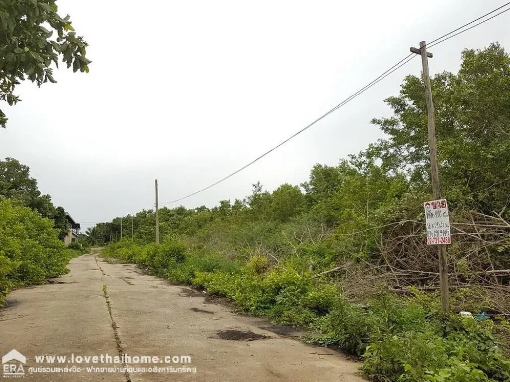 ขายที่ดินเปล่าซอยไอยรา62 ถนนคลองหลวง คลอง2 ปทุมธานี พื้นที่100ตรว ใกล้บริษัท แอล เอ็ม จี เอ็นจิเนียริ่ง จำกัด เข้าซอยถนนเอราวัณ1 สะพานเทพกุญธร