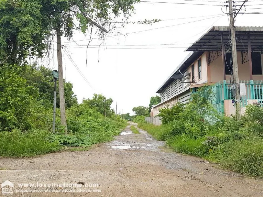 ขายที่ดินเปล่าซอยไอยรา62 ถนนคลองหลวง คลอง2 ปทุมธานี พื้นที่100ตรว ใกล้บริษัท แอล เอ็ม จี เอ็นจิเนียริ่ง จำกัด เข้าซอยถนนเอราวัณ1 สะพานเทพกุญธร