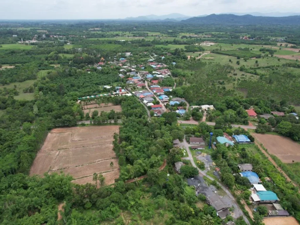 ขายที่ดินติดภูเขาใกล้ด่านขึ้นเขาใหญ่ อำเภอเมืองปราจีนบุรี จังหวัดปราจีนบุรี