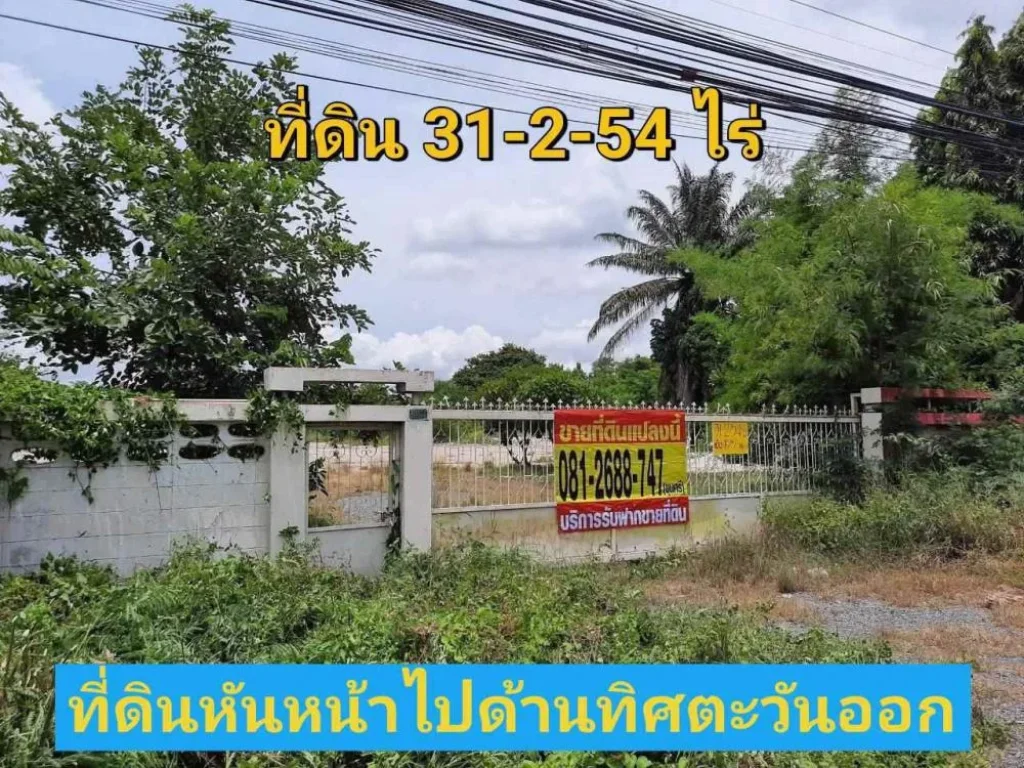 นักลงทุนไม่ควรพลาด ที่ดินเมืองสุรินทร์ 31ไร่ครึ่ง ถมแล้วบางส่วน ติดถนนสี่เลนสุรินทร์-จอมพระ-ร้อยเอ็ด214