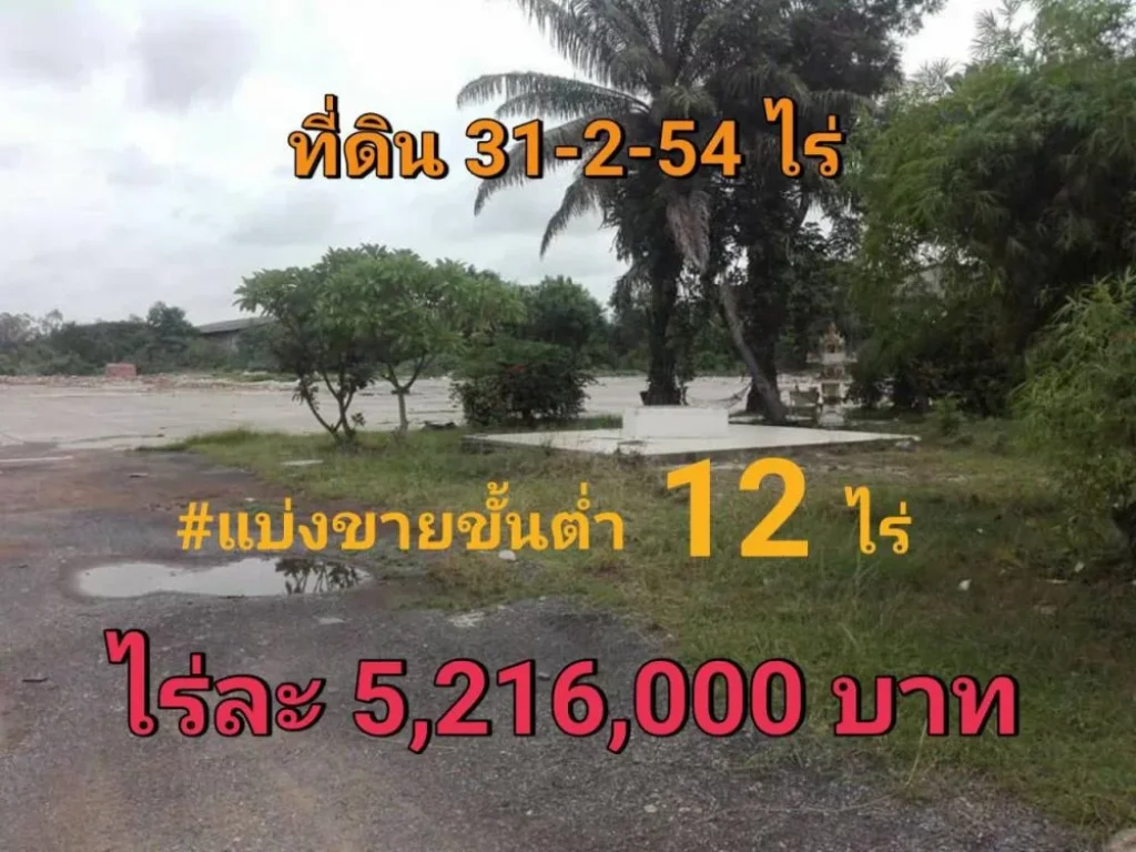 นักลงทุนไม่ควรพลาด ที่ดินเมืองสุรินทร์ 31ไร่ครึ่ง ถมแล้วบางส่วน ติดถนนสี่เลนสุรินทร์-จอมพระ-ร้อยเอ็ด214