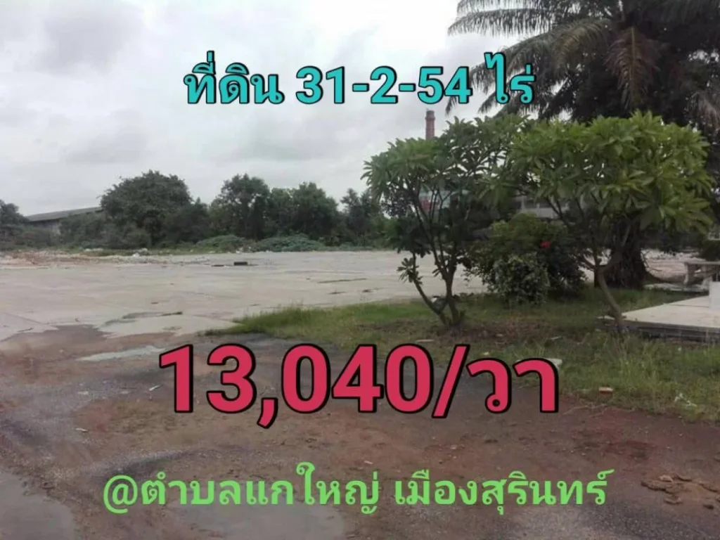 นักลงทุนไม่ควรพลาด ที่ดินเมืองสุรินทร์ 31ไร่ครึ่ง ถมแล้วบางส่วน ติดถนนสี่เลนสุรินทร์-จอมพระ-ร้อยเอ็ด214