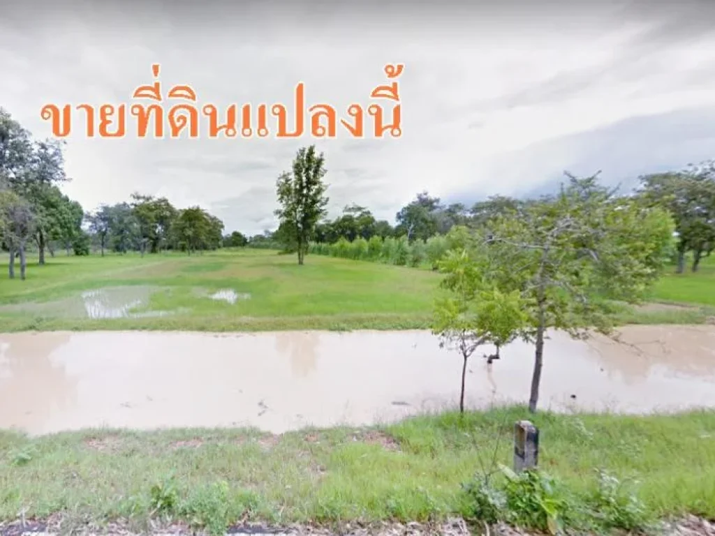 ขายที่ดิน ศรีสะเกษ ใกล้ อบตคลีกลิ้ง ศิลาลาด 8 ไร่ 3 งาน 42 ตรวา ที่ดินติดถนนทางหลวงชนบท ที่สวย