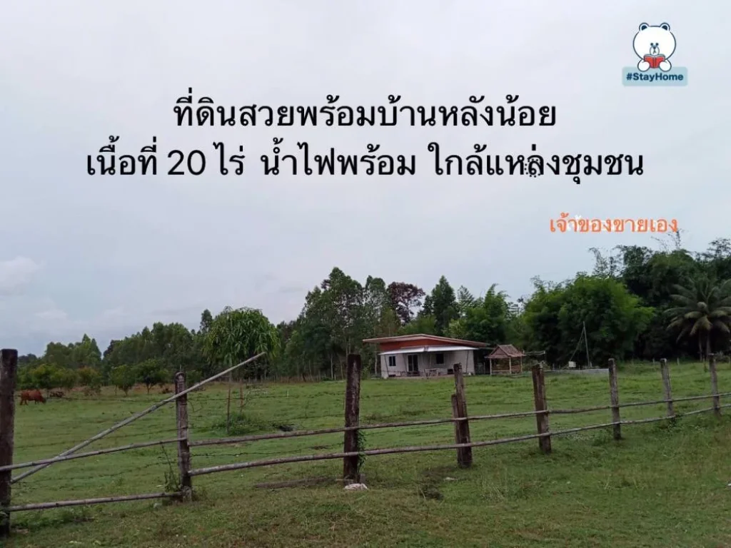 ขายที่ดิน20 ไร่อยู่ในแหล่ง ชุมชน น้ำไฟพร้อม สะดวกสบายปลอดภัย ใกล้ถนนใหญ่ ใกล้ที่ว่าการอำเภอ