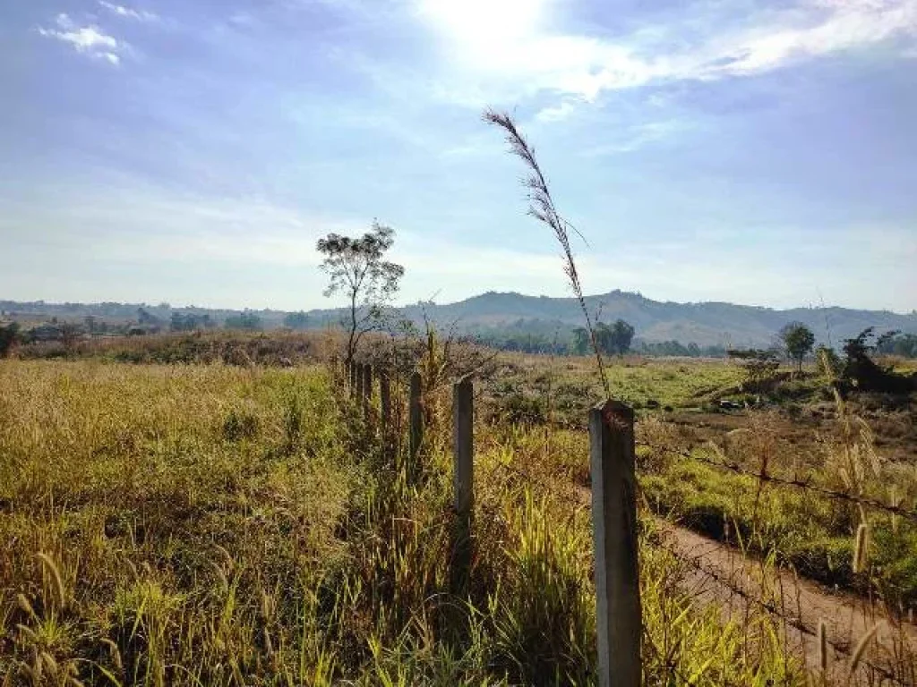 อากาศดีทั้งปีที่เนินเขามีโฉนด อเขาค้อ ตทุ่งสมอ ใกล้กังกันลมเหมาะทำบ้านพักตากอากาศ เนื้อที่ 3 ไร่