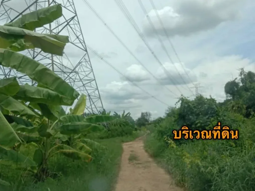 ขายที่ติดริมน้ำแม่กลองราชบุรี แปลงขนาดใหญ่ เหมาะทำบ้านพักตาก อากาศ