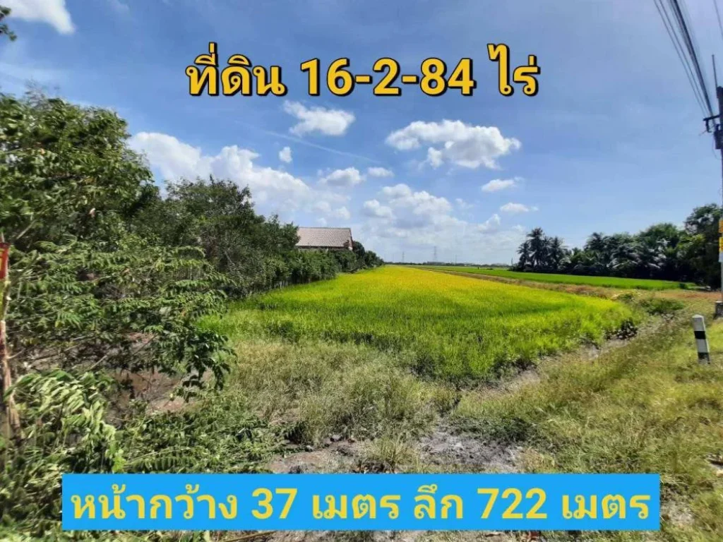 ขายที่ดินราคาถูกมาก 16-2-84 ไร่ ติดถนน เทศบาล5 อลาดหลุมแก้ว จปทุมธานี