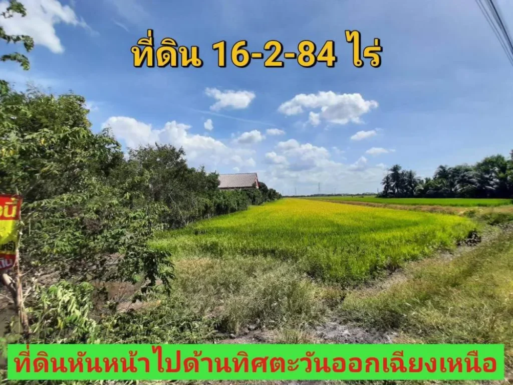 ขายที่ดินราคาถูกมาก 16-2-84 ไร่ ติดถนน เทศบาล5 อลาดหลุมแก้ว จปทุมธานี