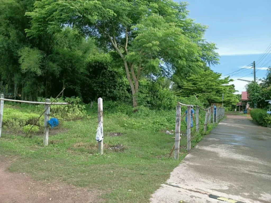 ที่ดินสวยใกล้กรุงเทพฯ สภาพแวดล้อมดี เมืองปราจีนบุรี