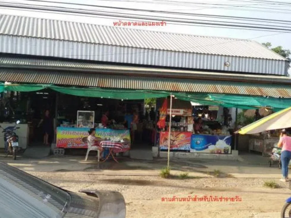 ที่ดินตลาด ใกล้โรงงาน หนองพลวง-จักราช นครราชสีมา ติดถนนใหญ่ เพชรมาตุคลา ถนนเส้น 226