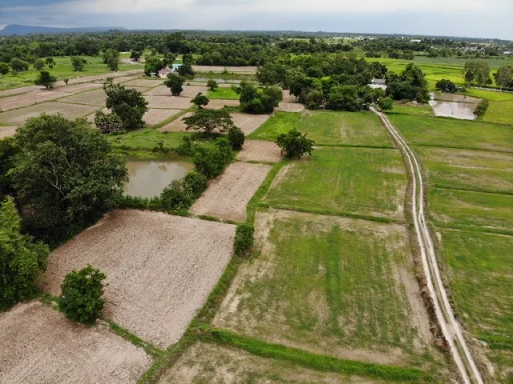 ขายที่ดินเมืองนครนายก 225 ไร่ ใกล้ถนนสุวรรณศร 33 เพียง 600 เมตร จนครนายก