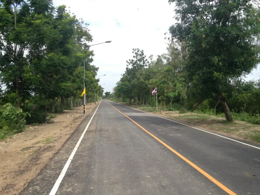 ขายที่ดิน 22 ไร่ หาดเจ้าสำราญ เหมาะจัดสรรและทำเกษตร