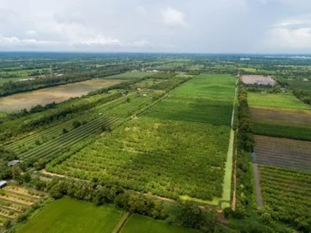 ขายที่ดิน อำเภอหนองเสือ ปทุมธานี 130 ไร่เศษ ติดถนนเลียบคลอง 10 เหมาะซื้อเก็บ