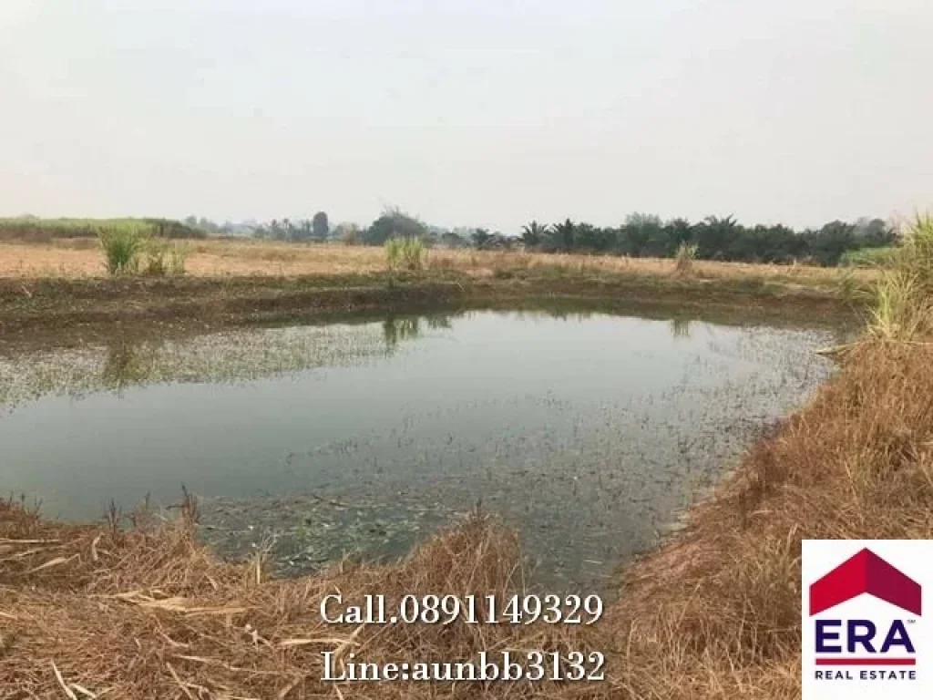 ขายที่ดิน 39-1-44 ไร่ ตเบิกไพร อจอมบึง จราชบุรี เหมาะสำหรับทำการเกษตรสวนผสม