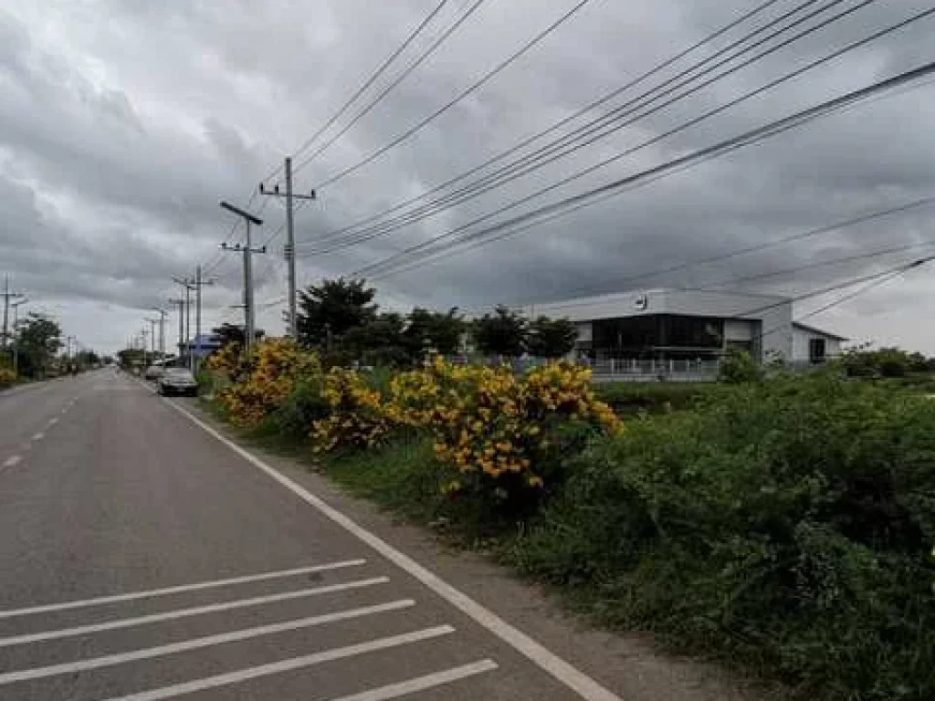 ขายที่ดิน 5-1-47 ไร่ ถนนสุขสวัสดิ์-วัดสาขลา อพระสมุทรเจดีย์ ใกล้ที่ว่าการอำเภอสมุทรปราการ