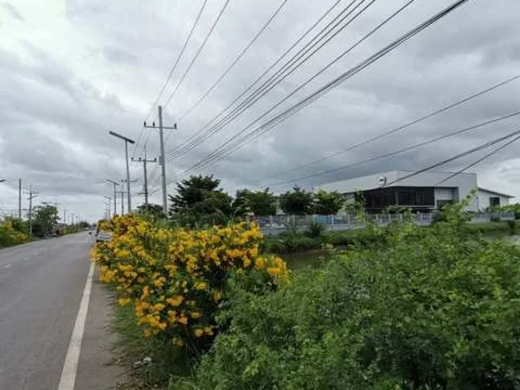 ขายที่ดิน 5-1-47 ไร่ ถนนสุขสวัสดิ์-วัดสาขลา อพระสมุทรเจดีย์ ใกล้ที่ว่าการอำเภอสมุทรปราการ