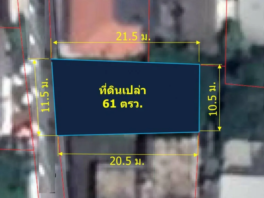 ขายที่ดินเปล่า 61 ตรว ใกล้วัดพระสิงห์ ตพระสิงห์ อเมืองเชียงใหม่ จเชียงใหม่