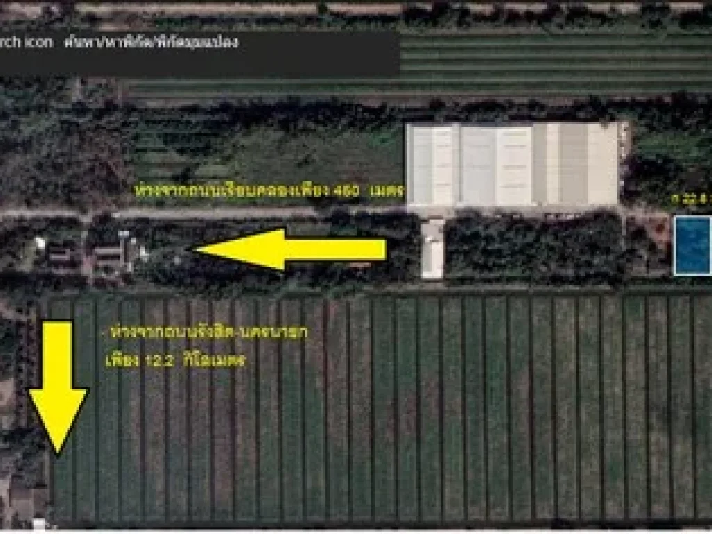 ขายที่ดินคลอง10 หนองเสือ 200 ตรว ติดถนนคอนกรีต มีไฟฟ้า มีประปา ครบ เหมาะปลูกบ้าน ทำโกดัง