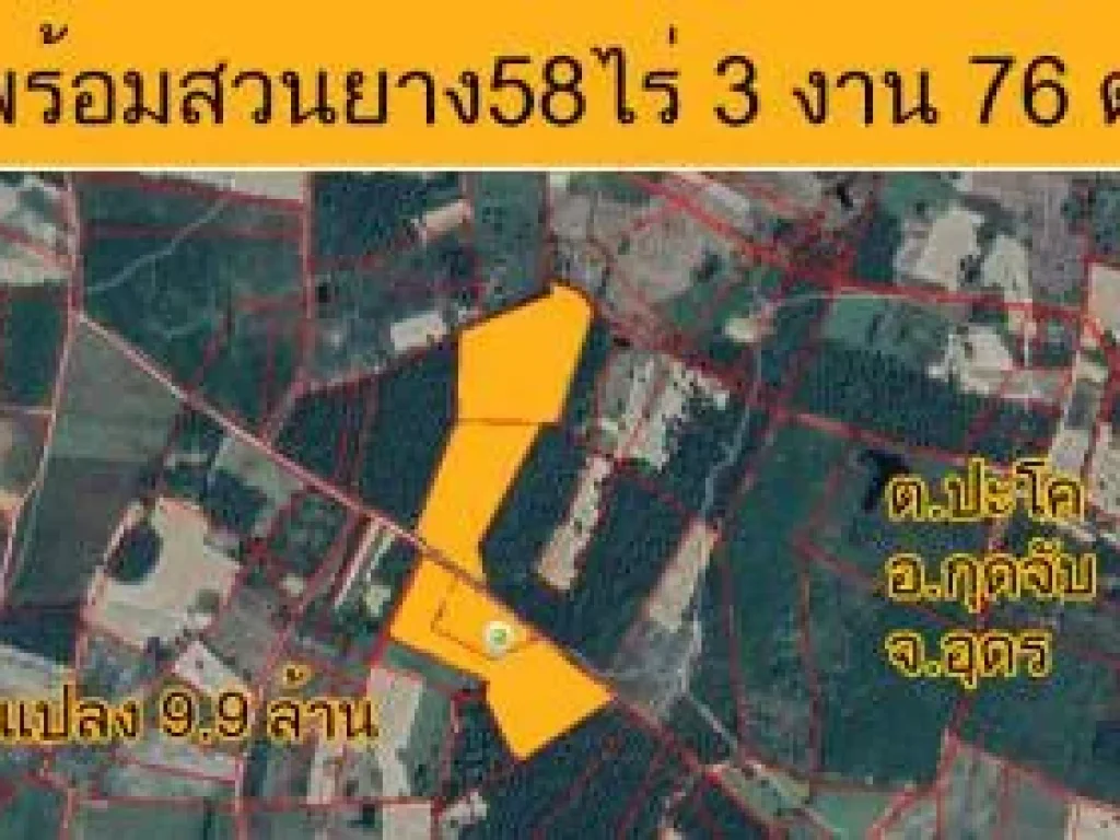 ขายที่ดิน YE-72 สวนยาง 58 ไร่ ตปะโค อกุดจับ จอุดรธานี 58 ไร่ 3 งาน 76 ตรวา ยางพร้อมกรีด ถูก