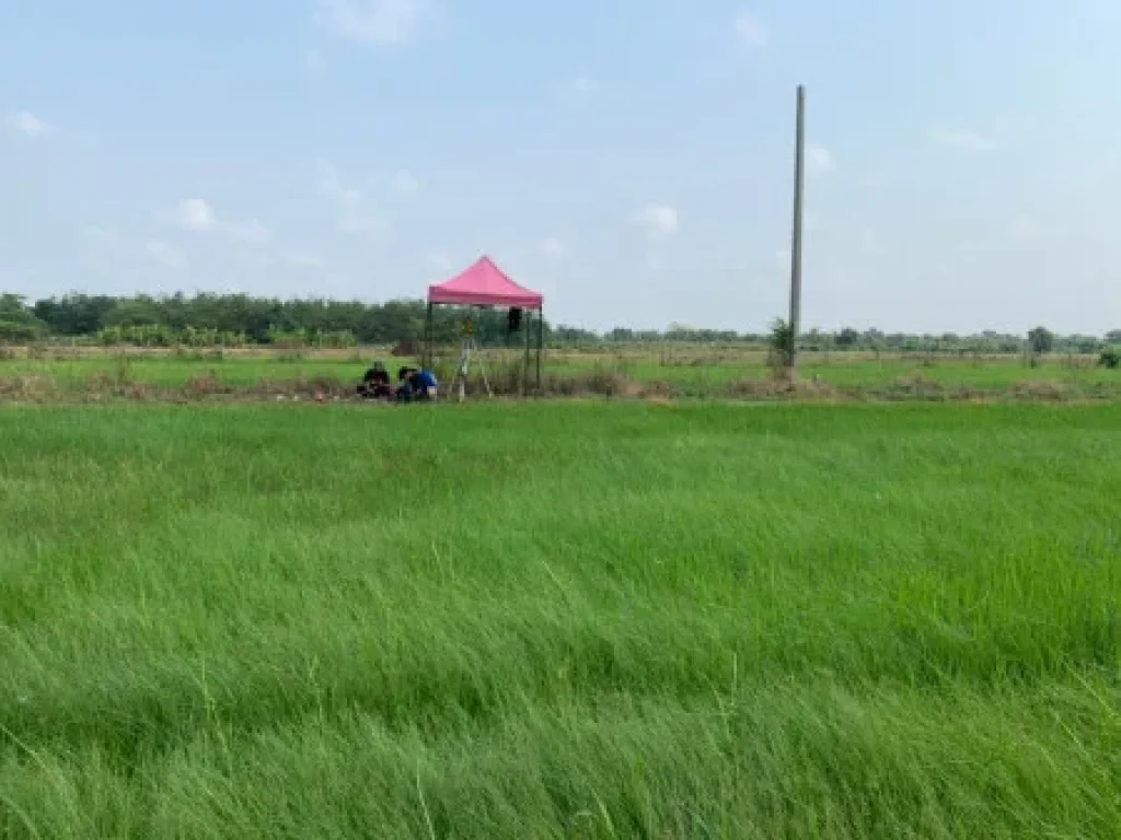 ขาย ที่ดิน ที่ดินเปล่า คลองหกตะวันออก120 คลองหลวง 70 ตรวา