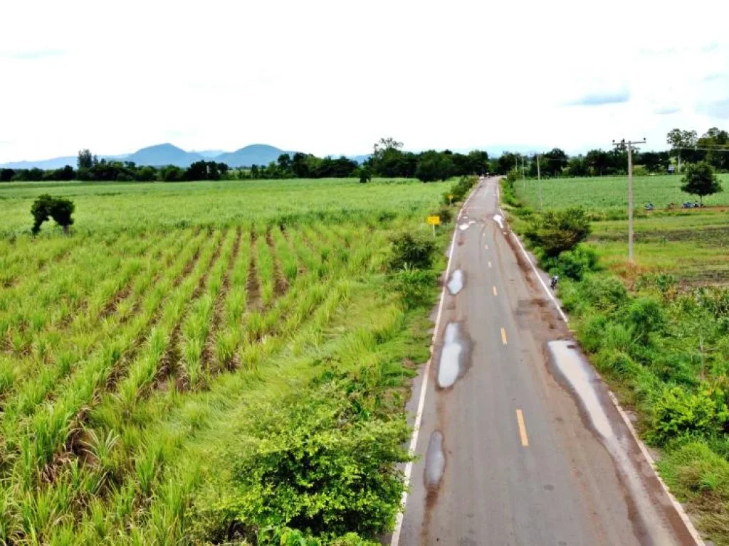 ติดถนนดำ 200 ตรว ผ่อนเบา 3500 ตชอนสมบูรณ์ อหนองม่วง จลพบุรี