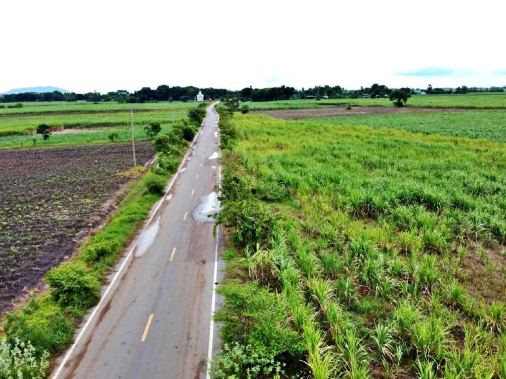 ติดถนนดำ 200 ตรว ผ่อนเบา 3500 ตชอนสมบูรณ์ อหนองม่วง จลพบุรี