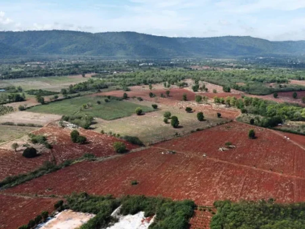 ขาย ที่ดิน เขาใหญ่ เห็นทิวเขา สวยสุดๆ หมูสี 50 ไร่ ตหมูสี อปากช่อง