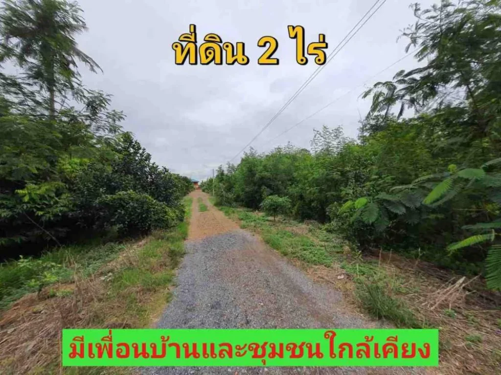 ขายต่ำกว่าราคาตลาด ที่ดิน 2 ไร่ ติดถนนคอนกรีตเลียบคลองหก ฝั่งตะวันตก อคลองหลวง