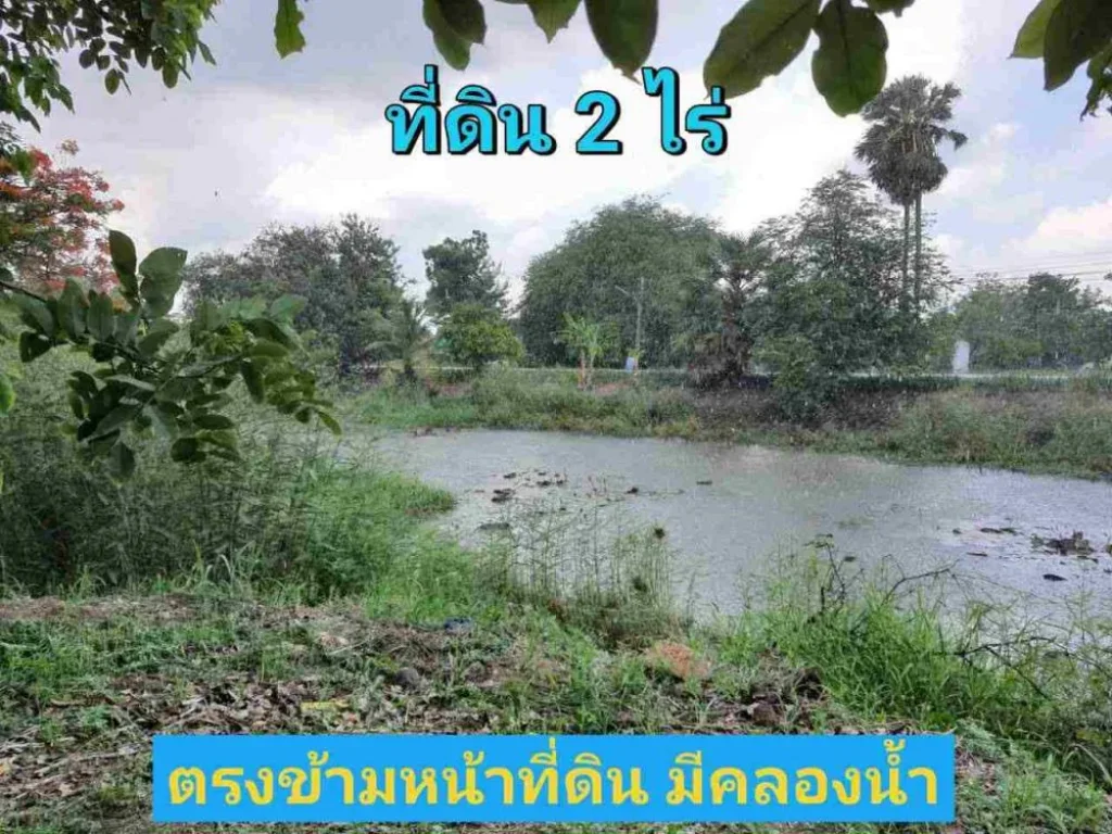 ขายต่ำกว่าราคาตลาด ที่ดิน 2 ไร่ ติดถนนคอนกรีตเลียบคลองหก ฝั่งตะวันตก อคลองหลวง