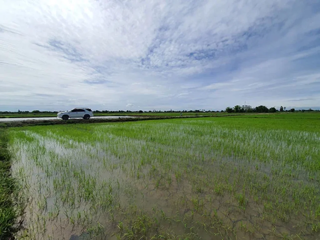 บรรยากาศวิวธรรมชาติท้องทุ่งนา ติดทาง ติดคลองส่งน้ำ 63 ไร่