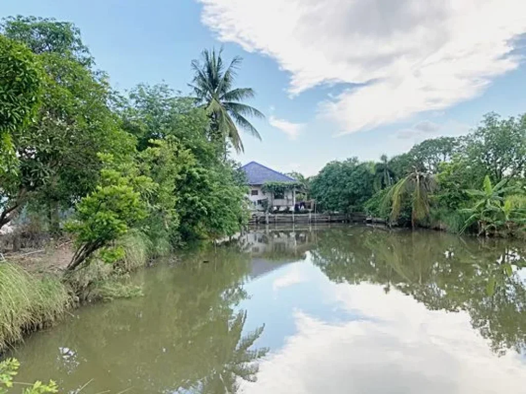 ขาย ที่ดิน พร้อมสิ่งปลูกสร้าง เนื้อที่ 8-3-06 ไร่ ลาดบัวหลวง พระนครศรีอยุธยา