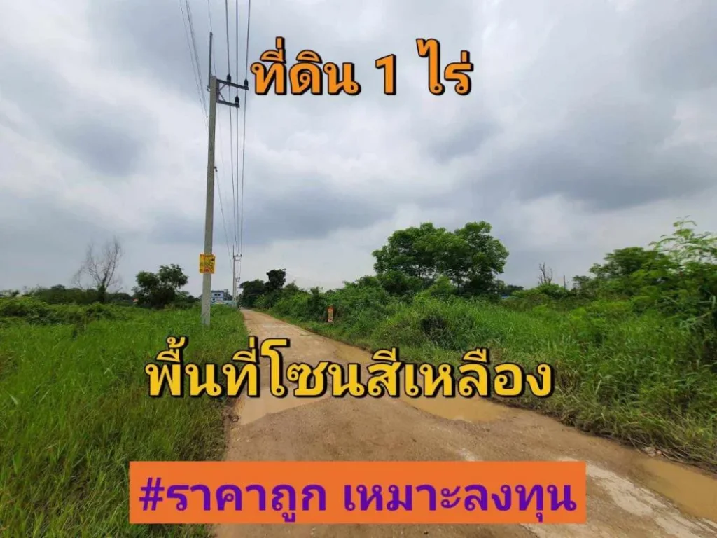 ขายที่ดิน 1 ไร่ ราคาถูกเหมาะลงทุน ซอยเอราวัณ 36 อคลองหลวง จปทุมธานี