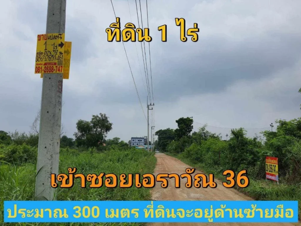 ขายที่ดิน 1 ไร่ ราคาถูกเหมาะลงทุน ซอยเอราวัณ 36 อคลองหลวง จปทุมธานี