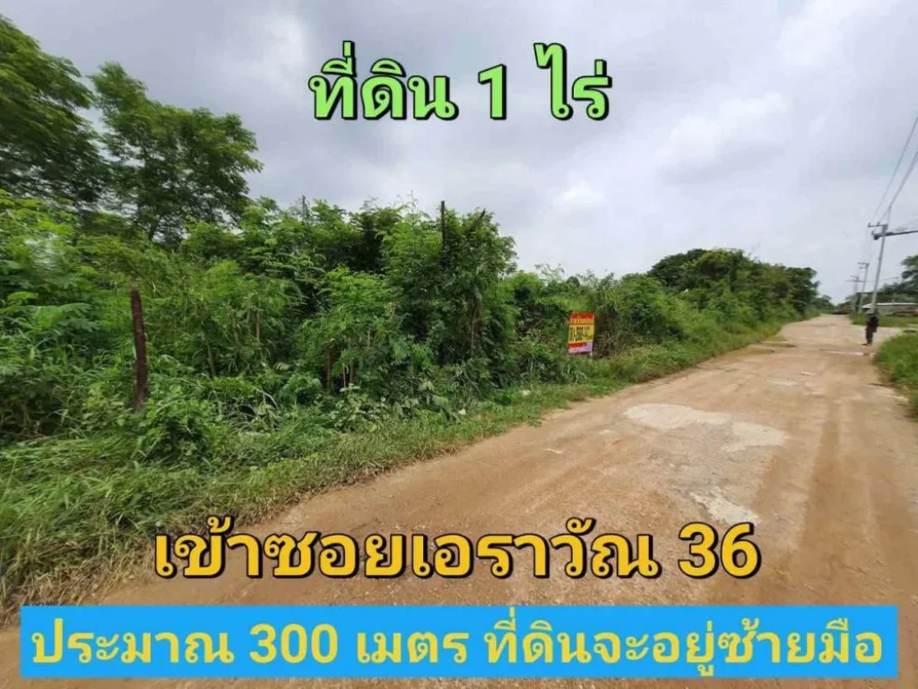 ขายที่ดิน 1 ไร่ ราคาถูกเหมาะลงทุน ซอยเอราวัณ 36 อคลองหลวง จปทุมธานี