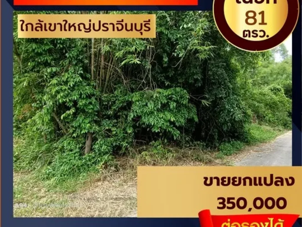 ขายที่ดิน 81 ตรว ใกล้อุทยานเเห่งชาติเขาใหญ่ ตเนินหอม อเมือง จปราจีนบุรี