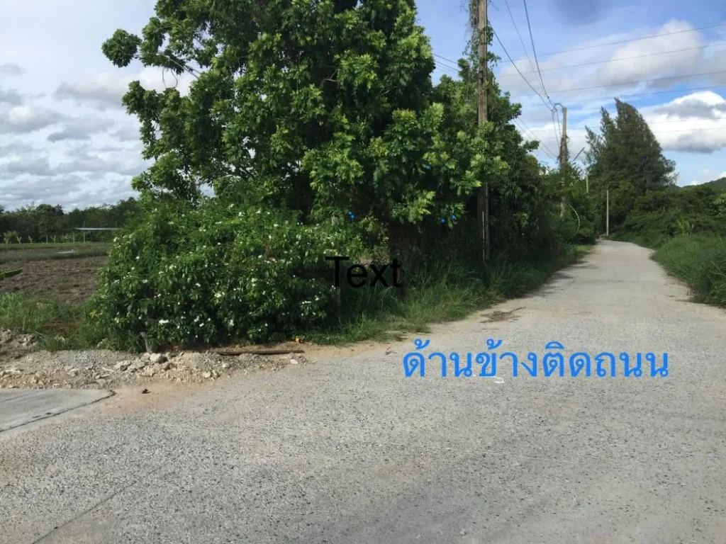 ขายที่ดินแปลงเกษตร 11 ไร่ 90 ตรว วิวภูเขา เมืองชลบุรี