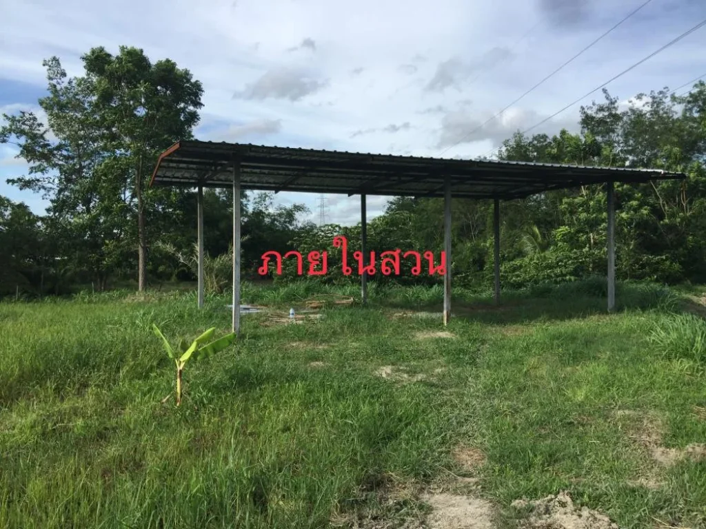 ขายที่ดินแปลงเกษตร 11 ไร่ 90 ตรว วิวภูเขา เมืองชลบุรี